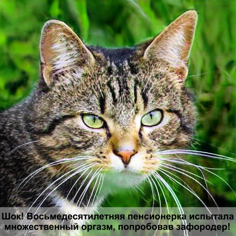 пурина про план отзывы