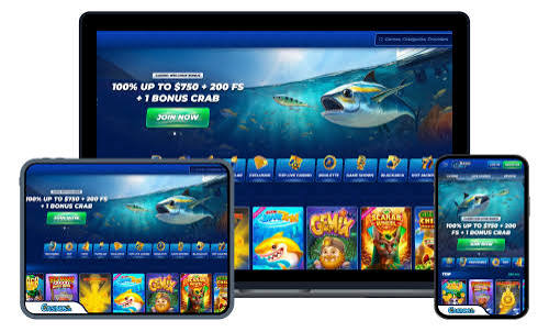 Bassbet Casino CZ jako alternativa k beznym online kasinum