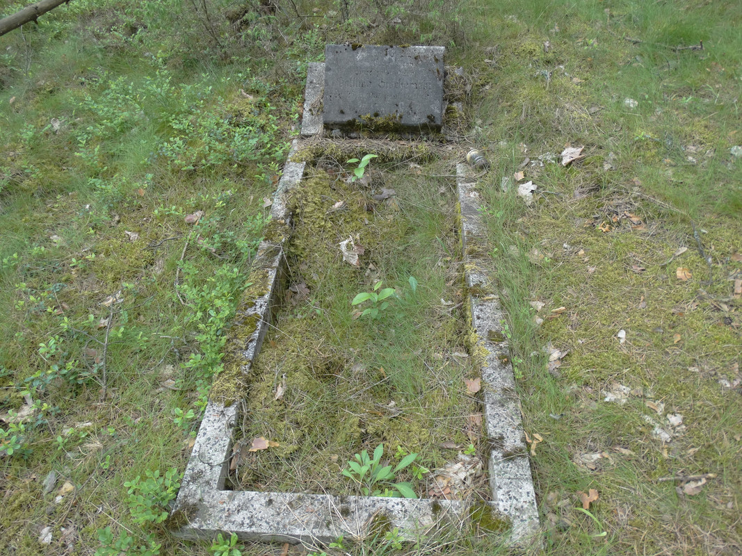 06 - DSC04077 (Czesio1)