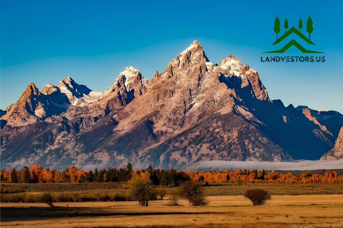 Landvestors Homepage Image