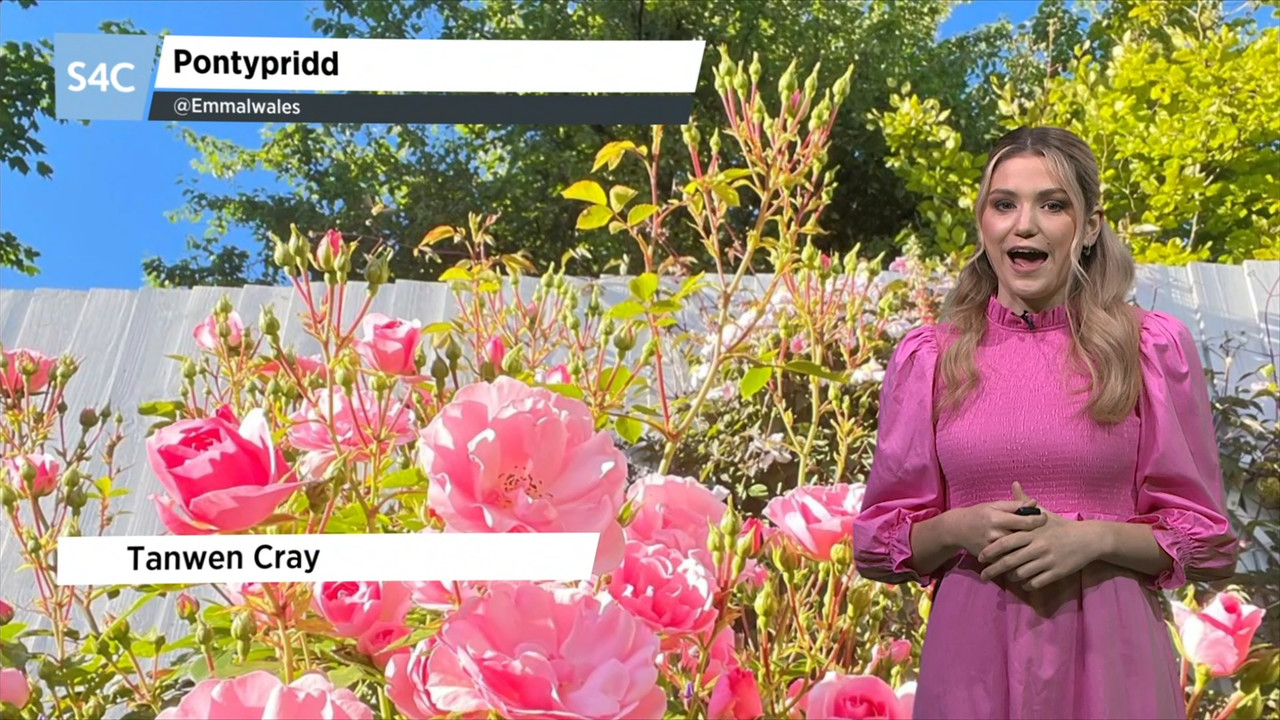 06.17 - 19.00.00 - Heno. Heno, byddwn ni'n fyw mewn cyngerdd arbennig..._002.ts_snapshot_06.19.242