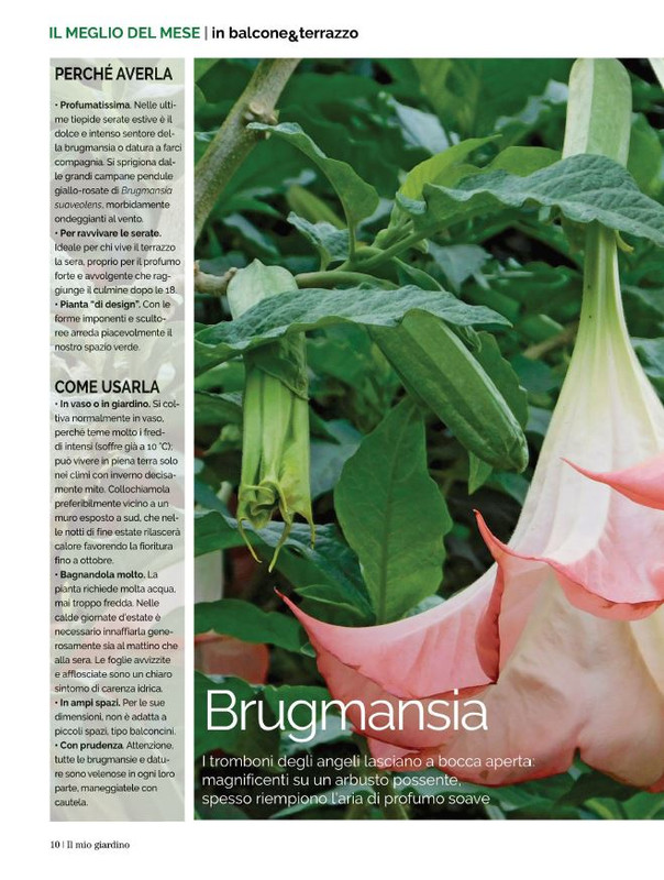 Il Mio Giar Set-Ott 2021 (6)