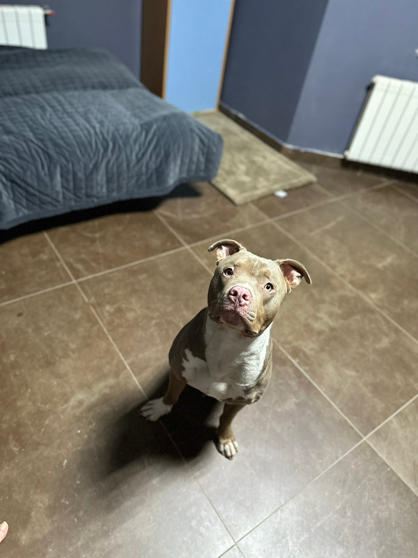 3CB0EBF4-C0D2-4F4A-9313-CB61E7D5E3AD