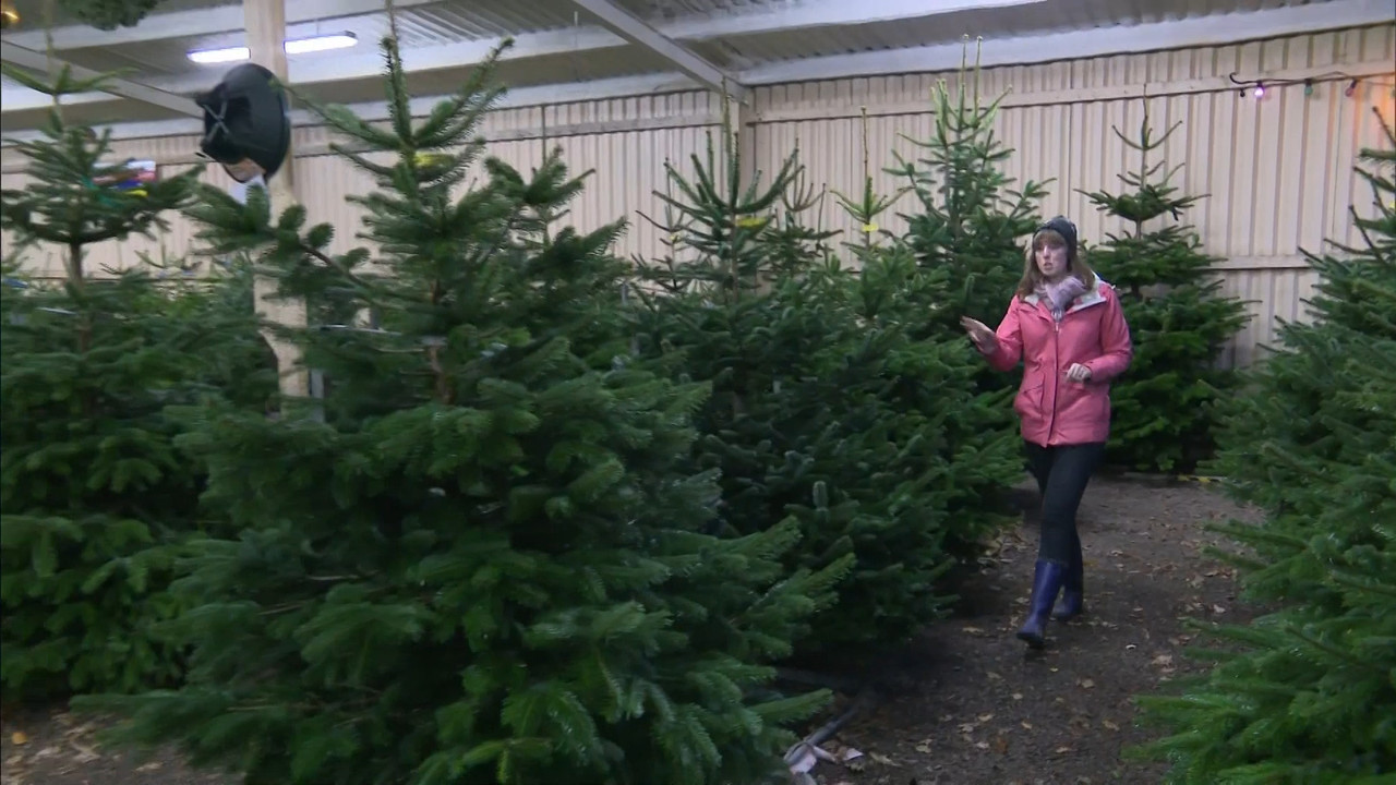 12.03 - 18.00.00 - ITV News London. The latest news in London and the....ts_snapshot_02.54.698