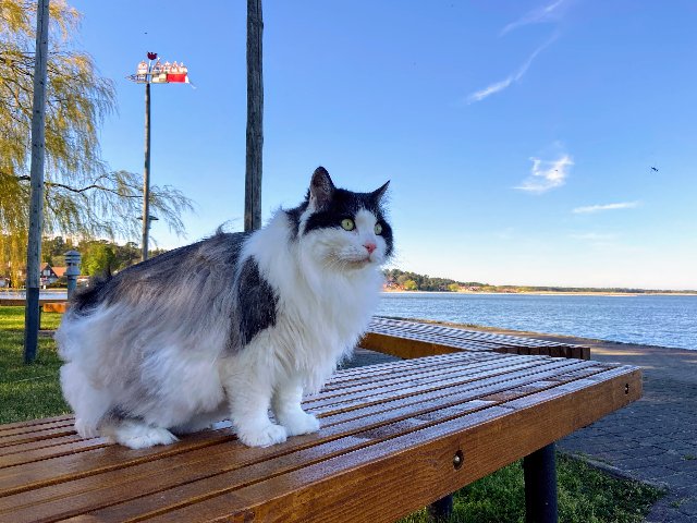 21-BD193-C-69-DA-4-D38-9-EB1-485-CE702-C