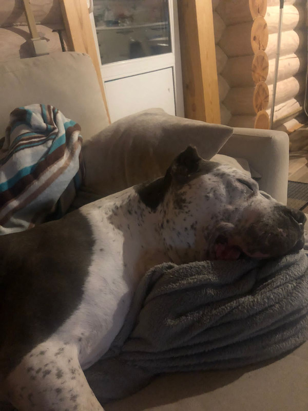 A273087A-892E-42CC-A8F4-512284326165