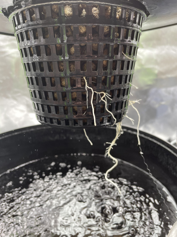 D9C08A53-ECEE-4335-8657-0EC9BE5027AE