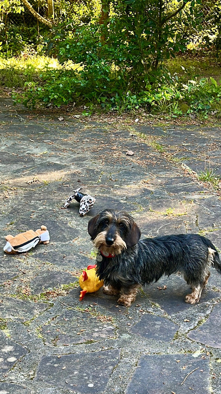 [Image: IMG-20250502-113223.jpg]