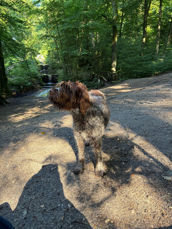 2025-03-08 Claire 1 IMG_5136 (002)