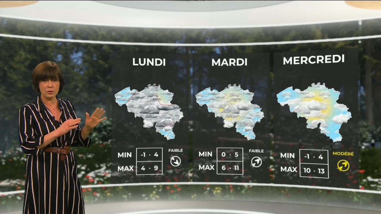 03.20 - 11.45.00 - Contacts. Verkeerstips.ts_snapshot_15.38.494