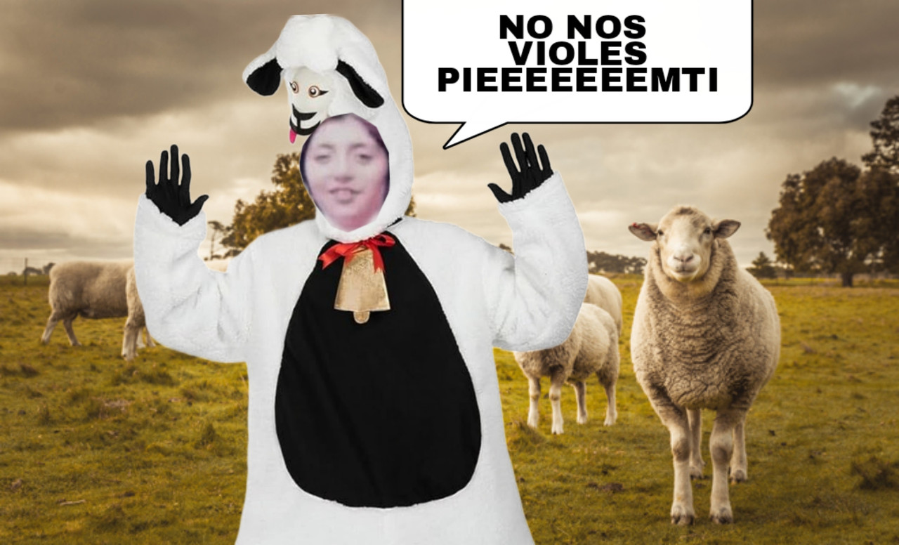 Picsart-23-09-24-22-02-19-496.jpg