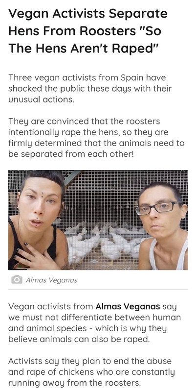 Screenshot_۲۰۲۴-۰۱-۳۰-۲۱-۵۹-۱۵-۵۹۷_com.android.chrome-edit