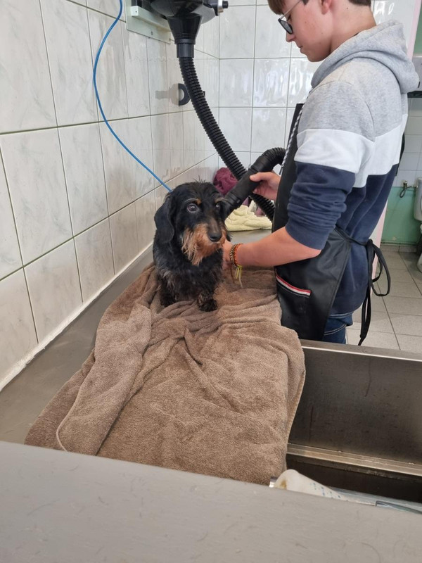 [Image: image000000-232.jpg]