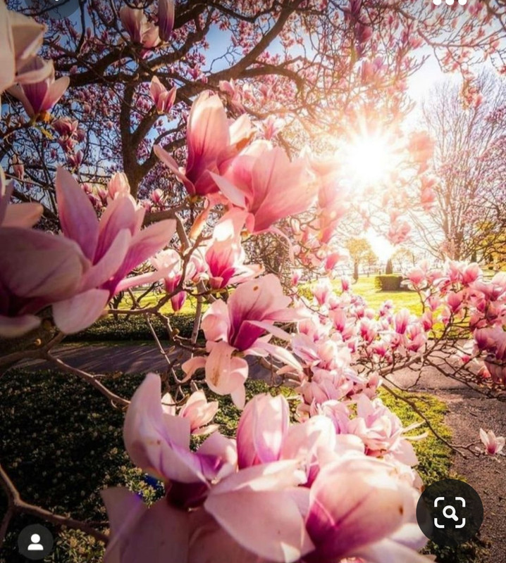 Screenshot_20231102_193600_Pinterest