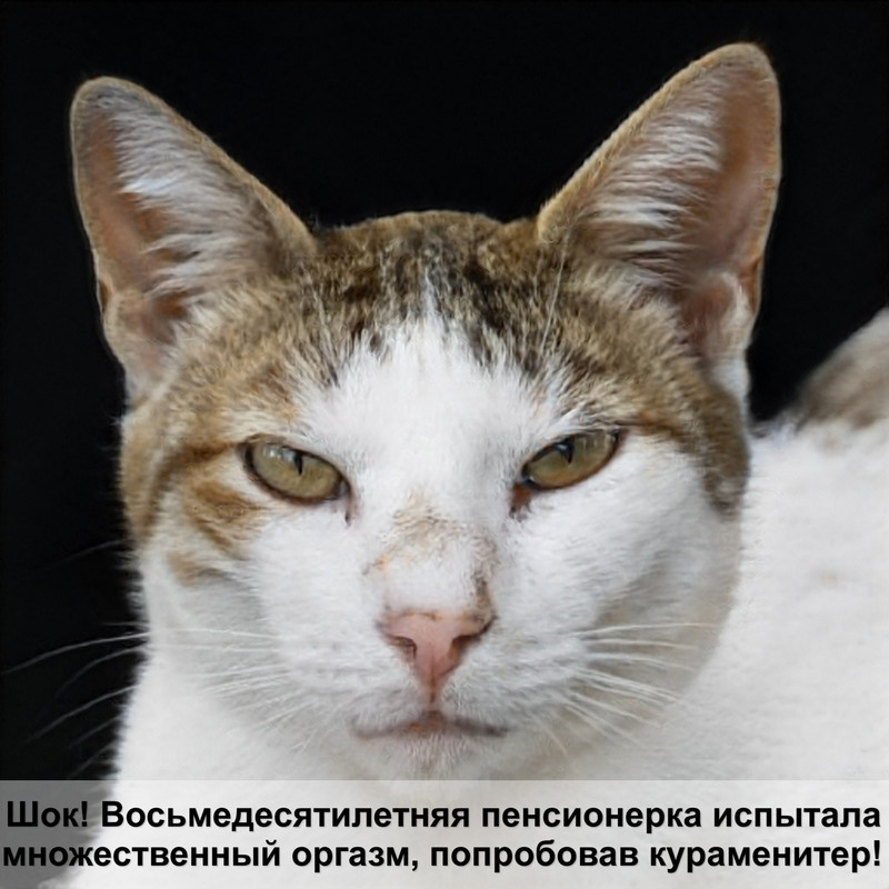 та самая египетская кошка