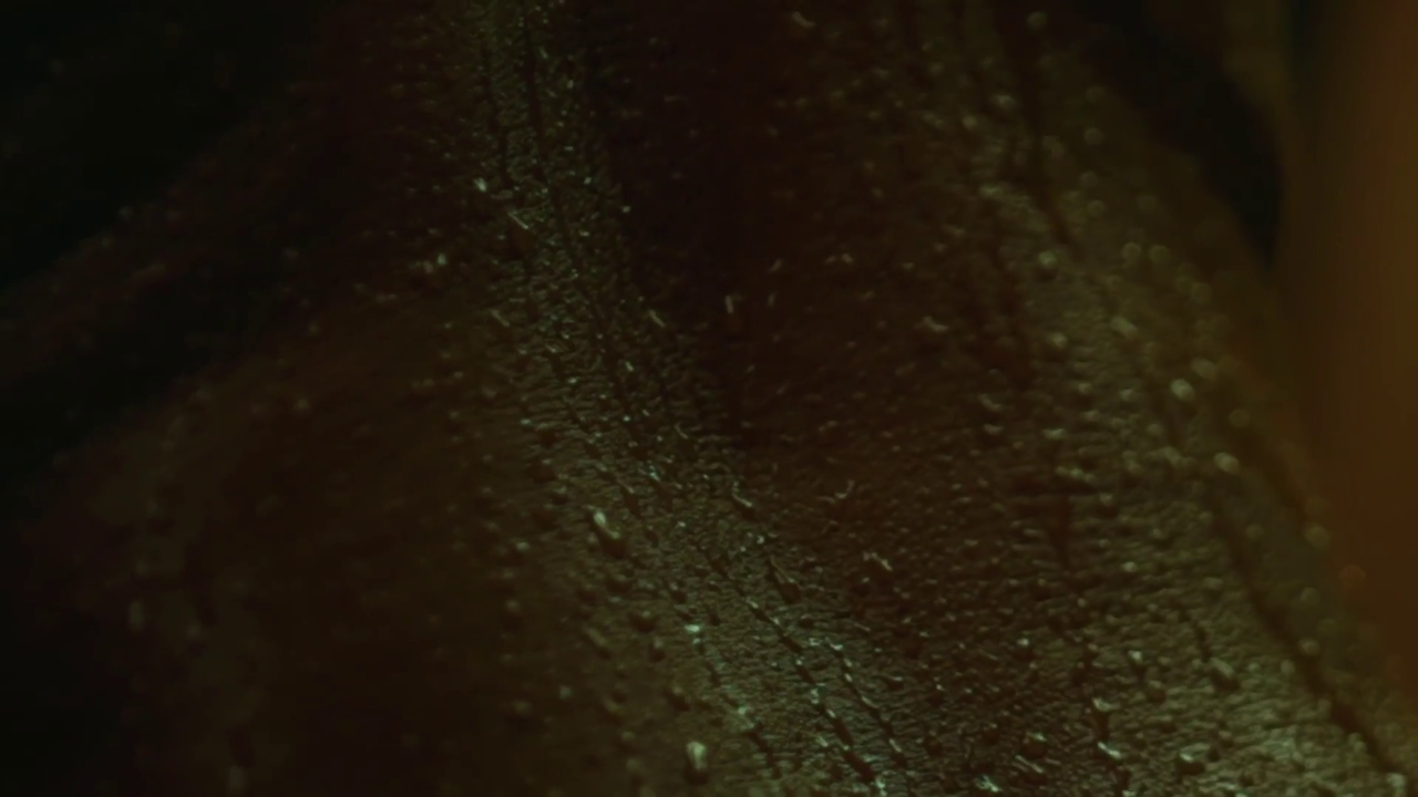 vlcsnap-2024-02-12-16h01m18s588