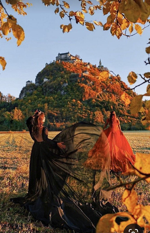 Screenshot_20231130_235229_Pinterest