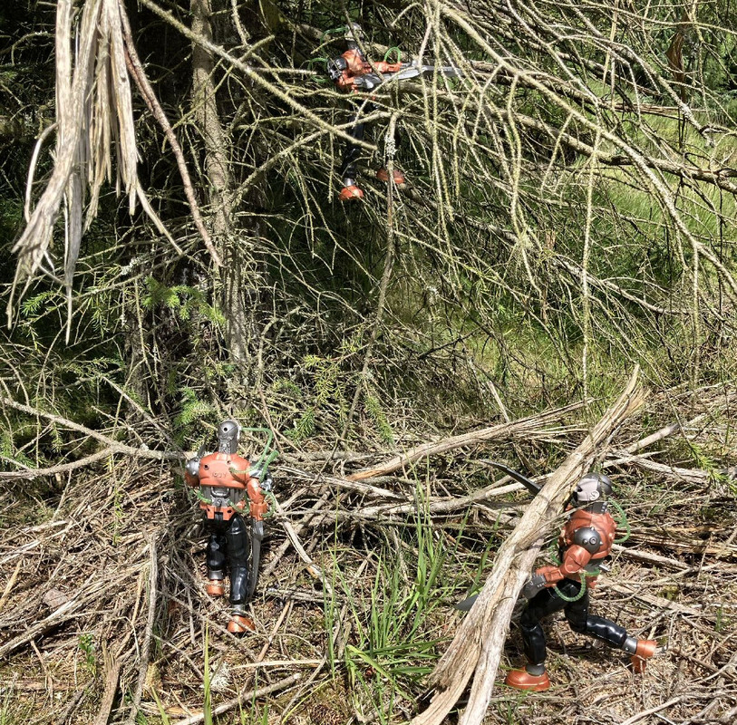 Toxic Robots in a forest at Glen Devon. B582952-F-8-BB5-4-F0-D-B532-AB0-D2-B93-EF64