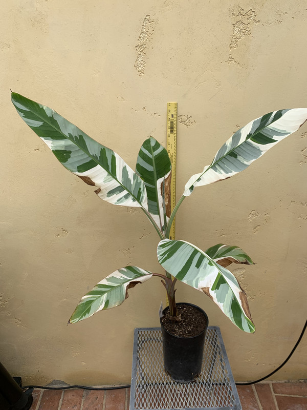 3F02F83D-65C2-45E5-84B8-E1BA66C651F9