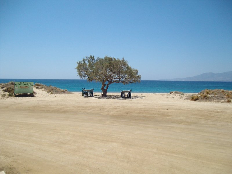 paradiso-taverna.jpg