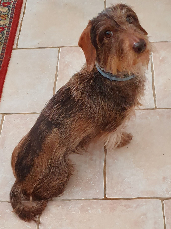 [Image: 20220430-133211.jpg]