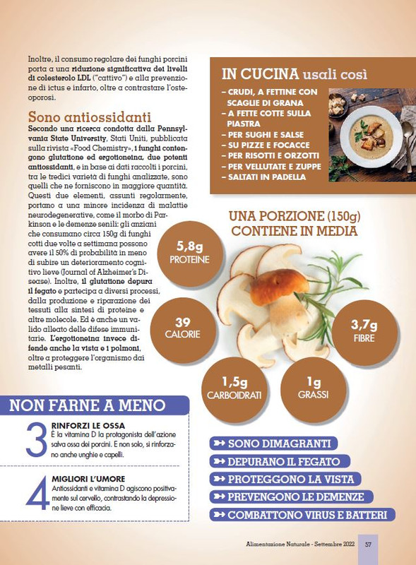 Alim Nat Set 2022 (12)