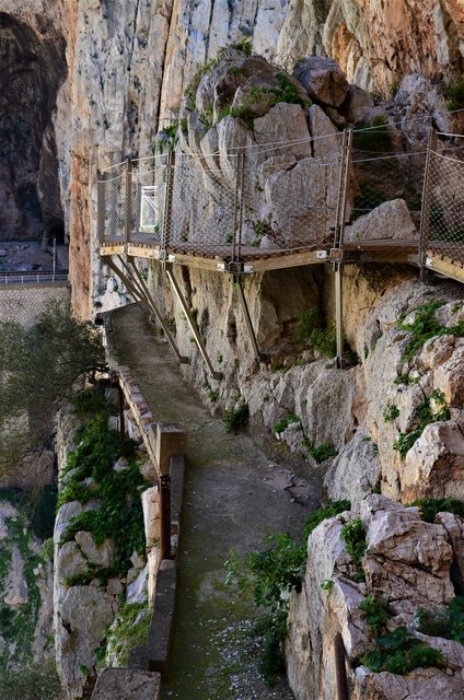 DESFILADERO DE LOS GAITANES (CAMINITO DEL REY)-8-3-2017 - Málaga y sus pueblos-2009/2017 (49)