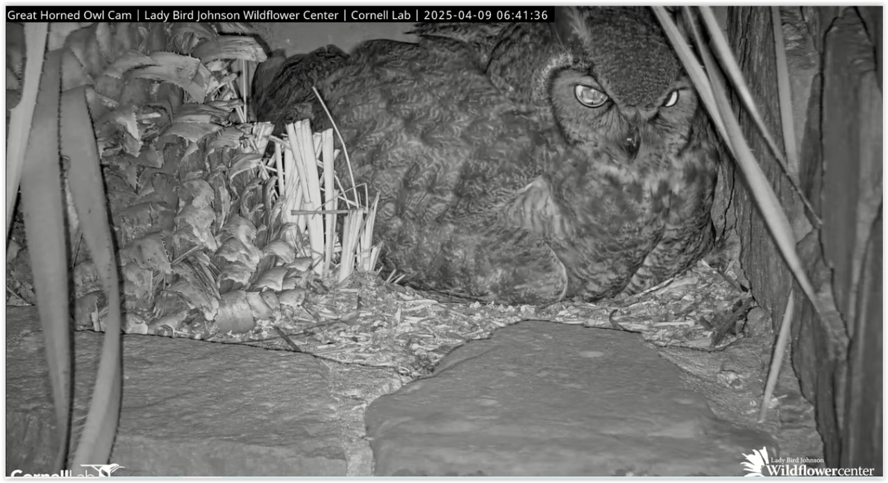 Screen Shot 01 11 26 at 09 58 AM