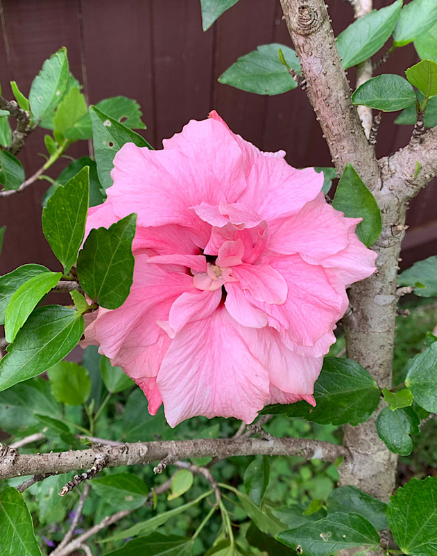 EBD144C8-FC34-46C2-A00C-8B4130BA5C10