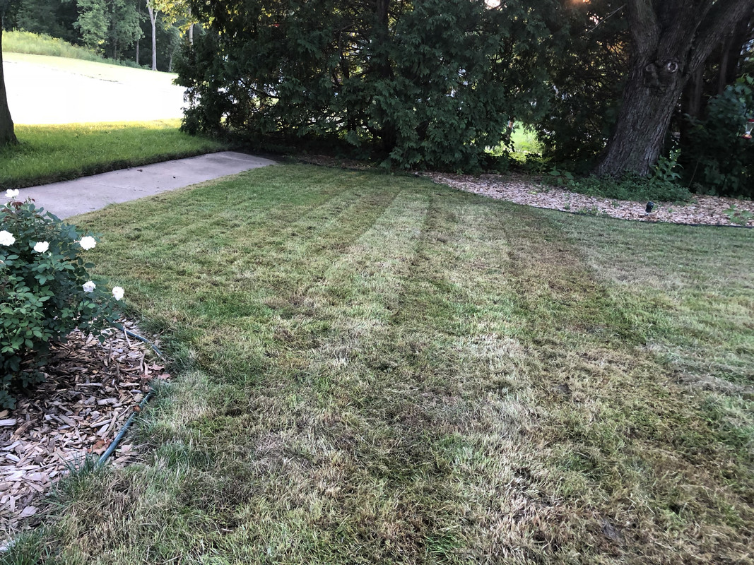 1CF27B73-7FF4-4171-A0E7-AD64F59011B5