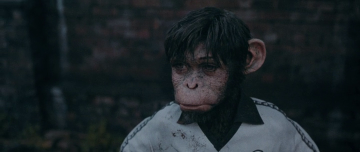 vlcsnap-2025-04-26-09h49m47s856