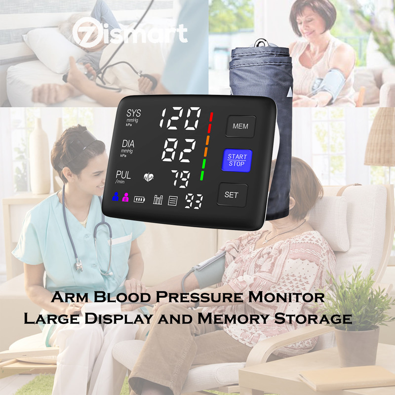 Portable blood pressure monitor