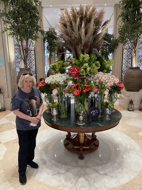 [Linked Image from i.postimg.cc]