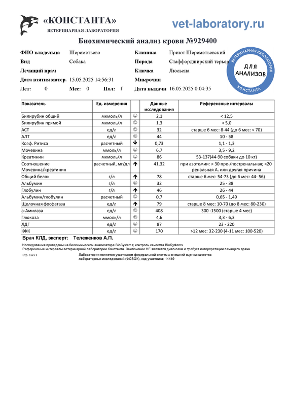 Биохимический анализ крови (929400)