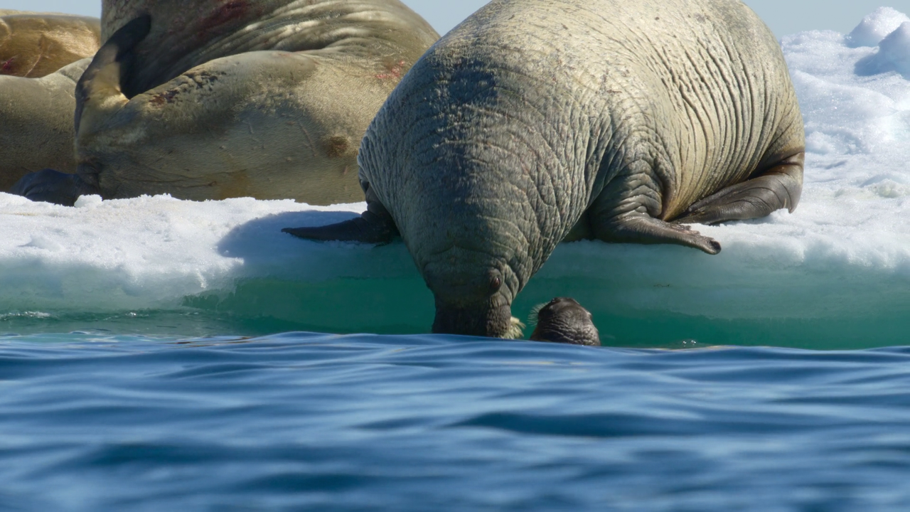 vlcsnap-2023-06-14-11h11m37s317