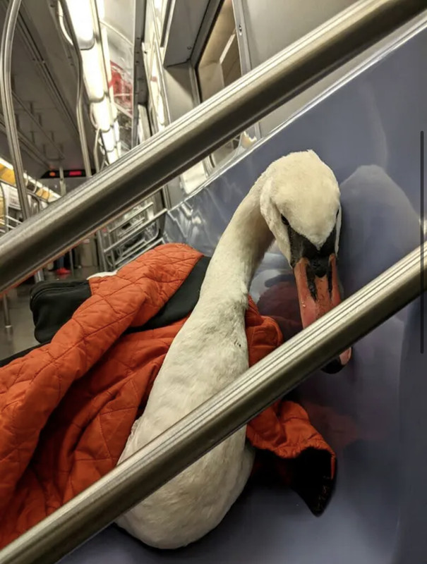 E581C888-A517-40A9-8B88-6E53B7B979D7