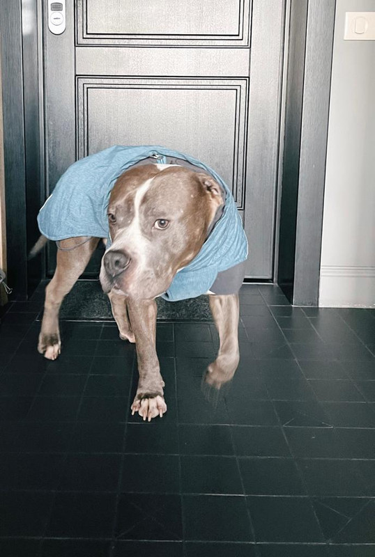 CBE644C7-3579-4047-8A8F-781CBB03E154