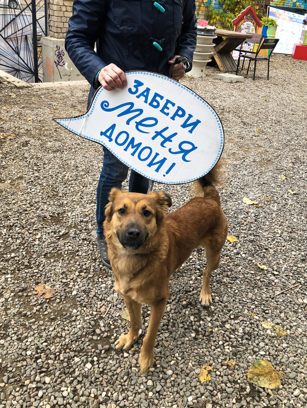 5DD8BA8E-2683-40B0-8A8F-959FCEA5380C