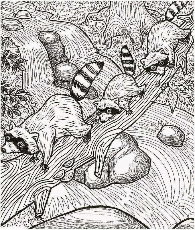 Канадский тест на внимательность Три енота попробуй найти хотя бы 5 скрытых предметов из 6