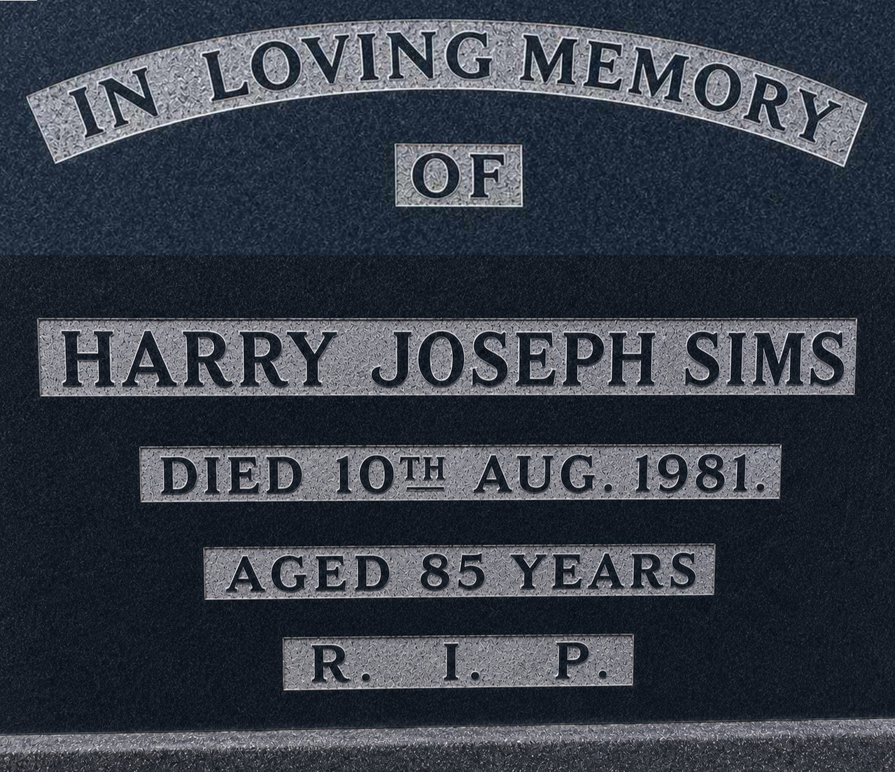 Harry Sims 2