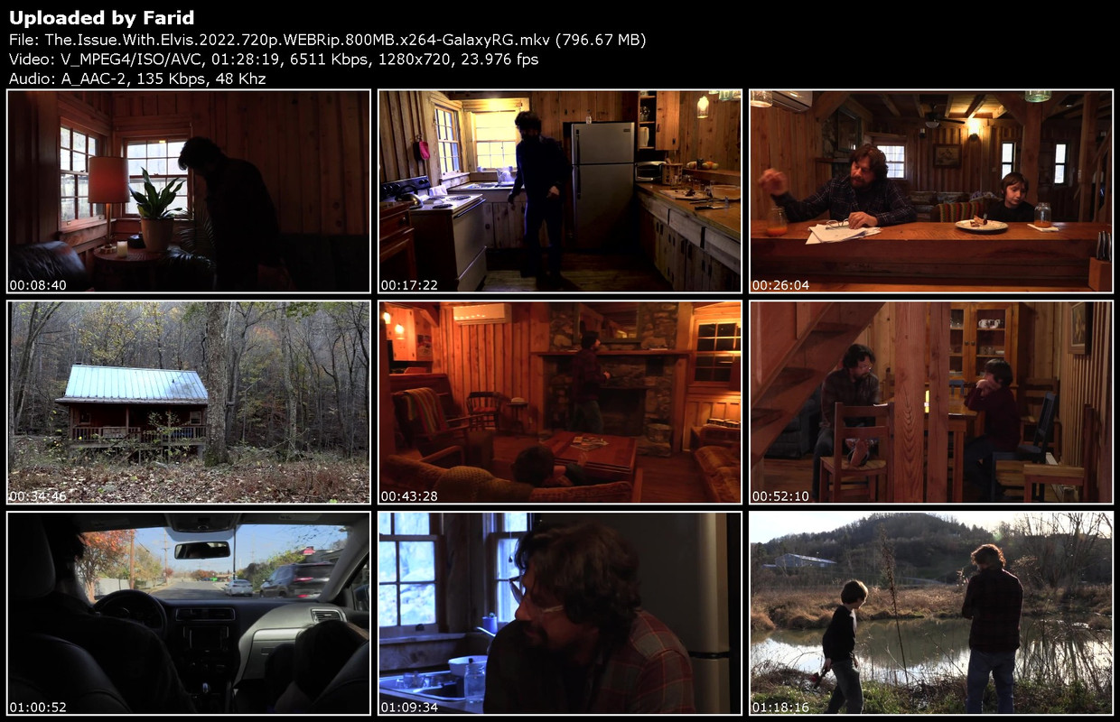 The-Issue-With-Elvis-2022-720p-WEBRip-800-MB-x264-Galaxy-RGTGx.jpg