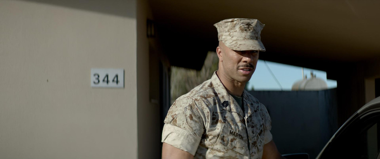 Megan Leavey (2017) (1080p Bluray x265 HEVC 10bi