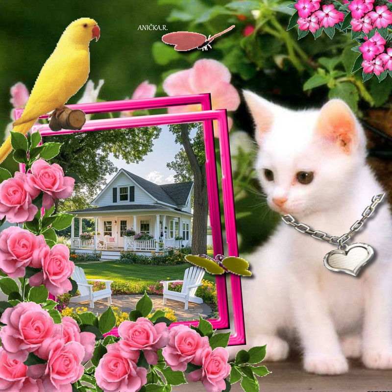 imikimi zo photo (11)