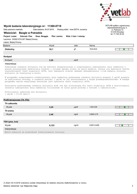 Beagle w Potrzebie (11360-0719)-2