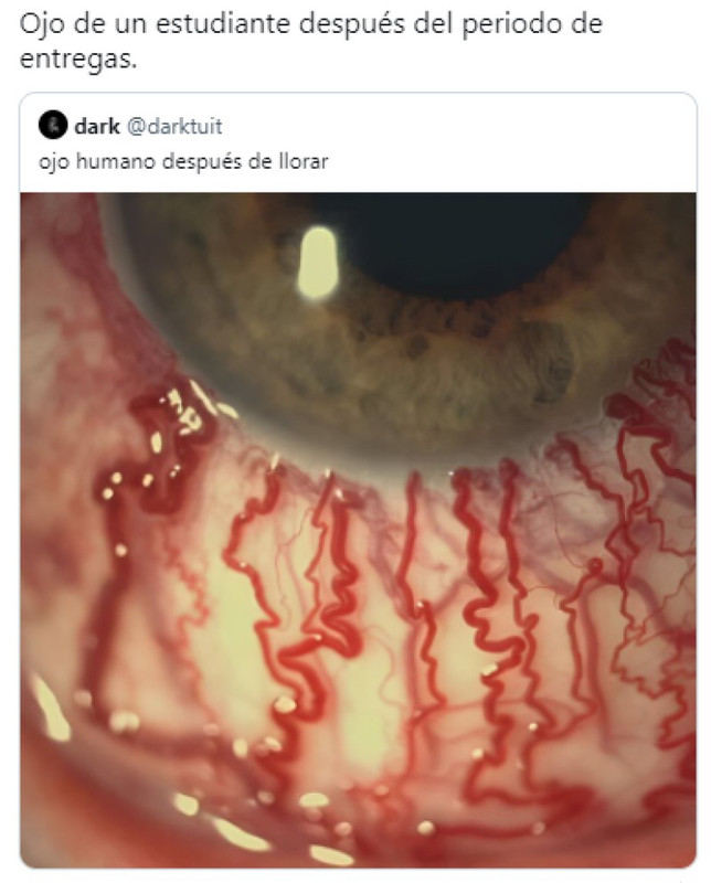 Memes por el Día del Estudiante en México, no podían faltar en la ocasión