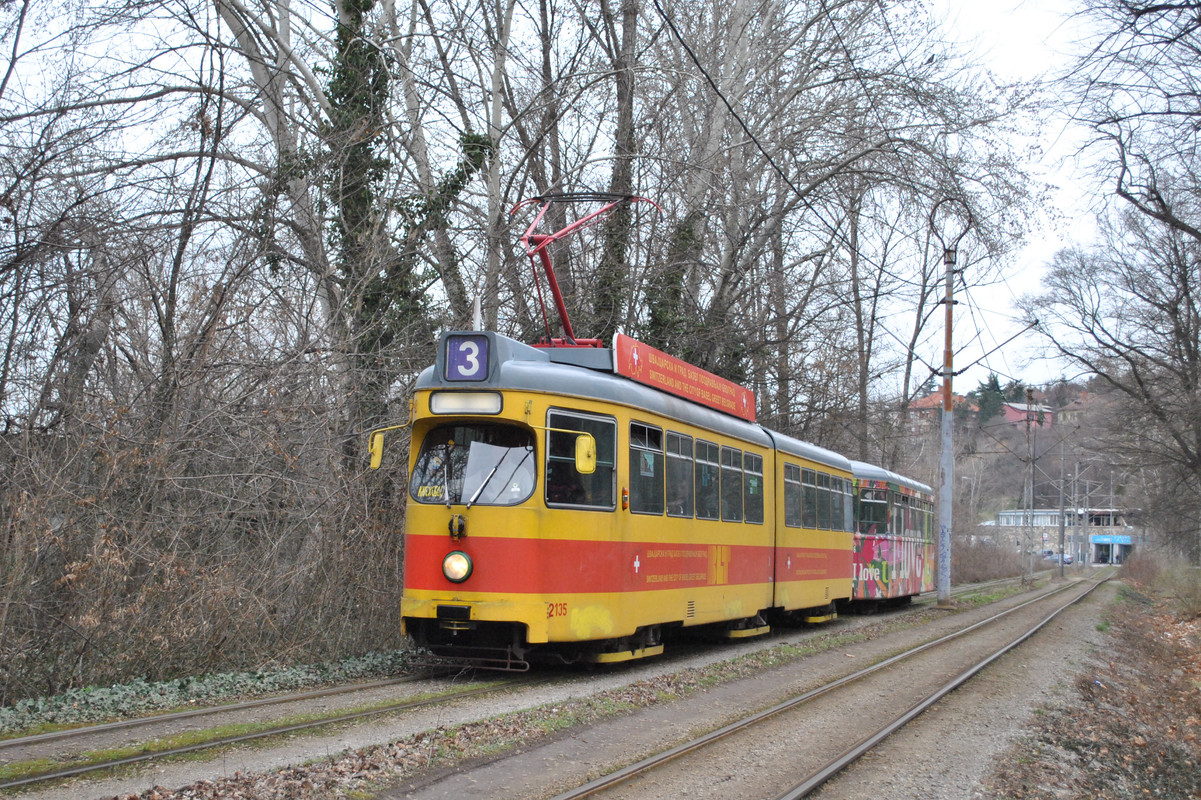 2135-3