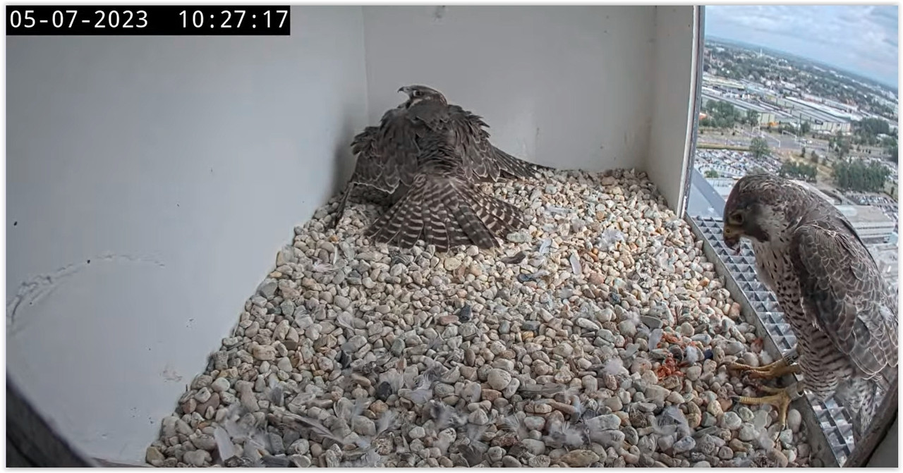 Screen Shot 07-05-23 at 10.37 AM