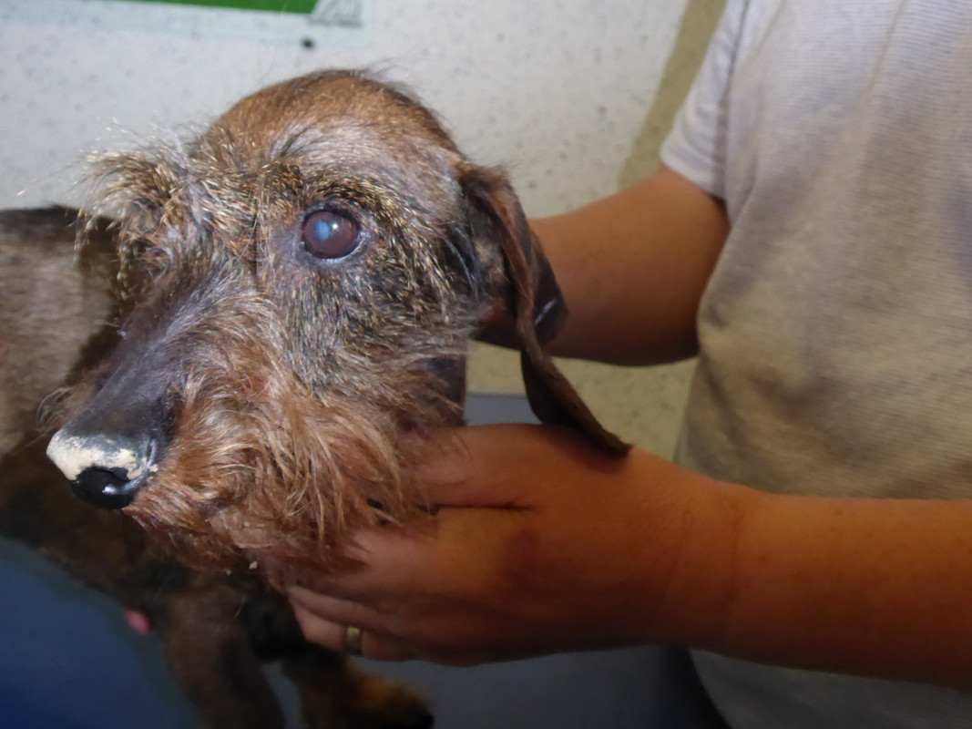 [Image: P1040881.jpg]