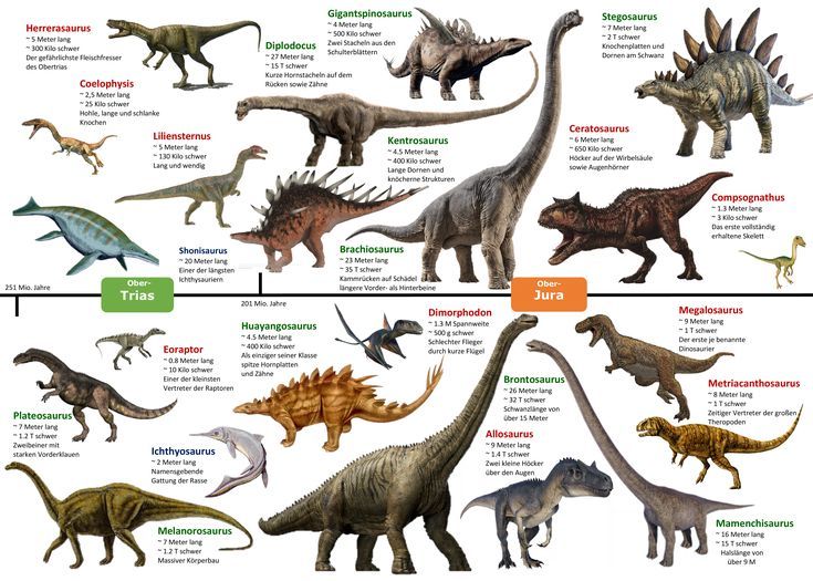 b7c29103462db64c0f45fad2d2e40439