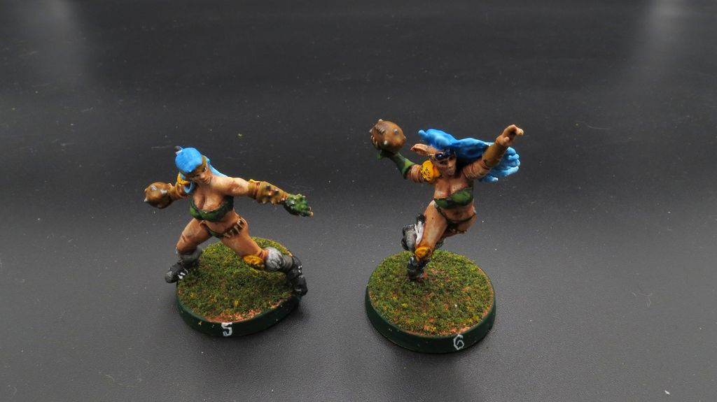 [Commande] Bloodbowl Benoch équipe d'amazones CURVE-IMG-2305